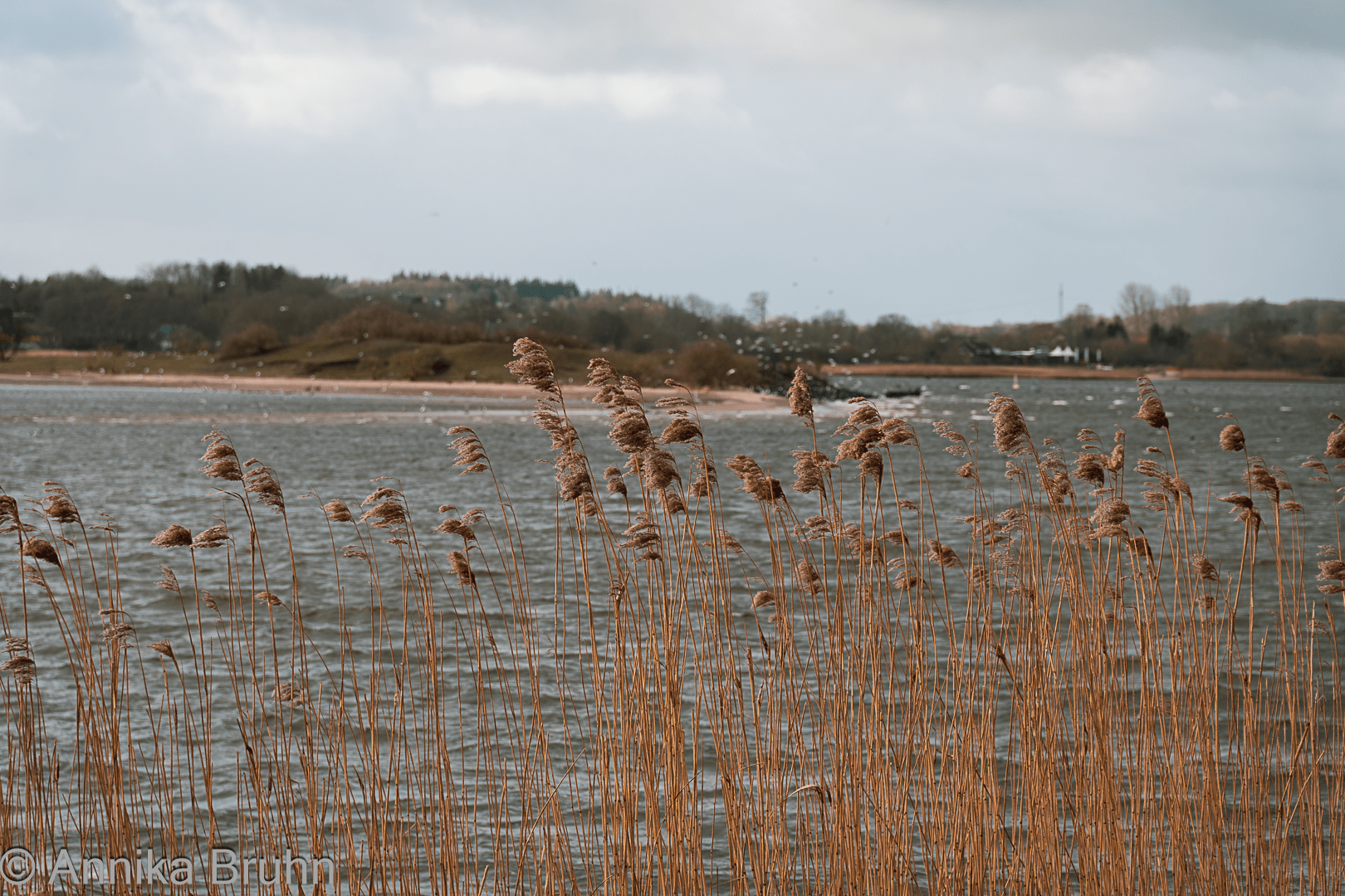 Es pustet ordentlich